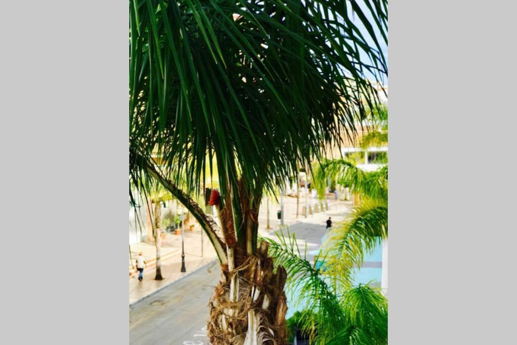 Begona City Center Studio 231 By Namaste Elite Torremolinos Exterior photo